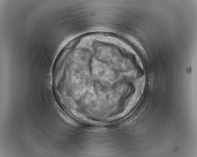 X0000096441372200802211200