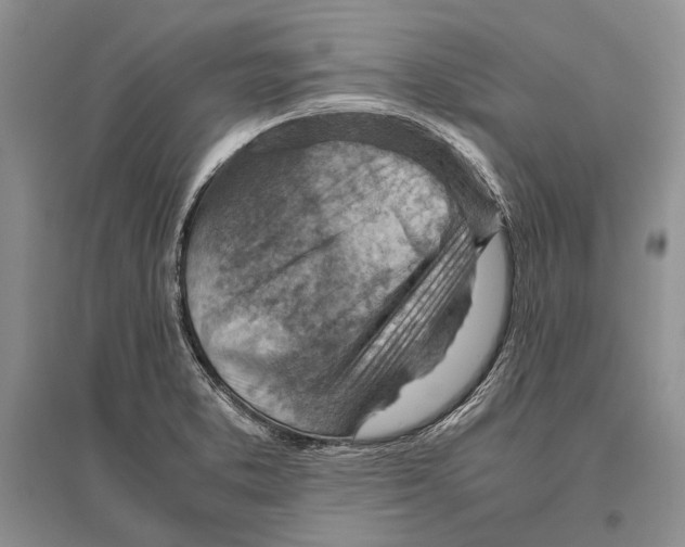 X0000096441373200802211200