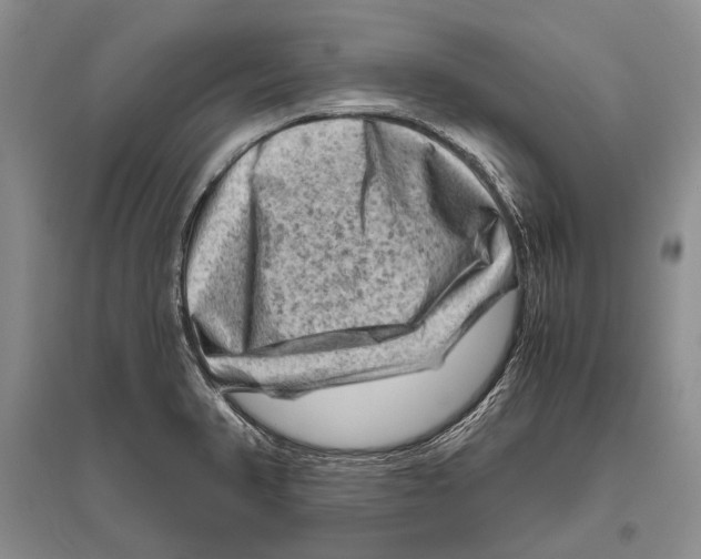 X0000096441374200802211200