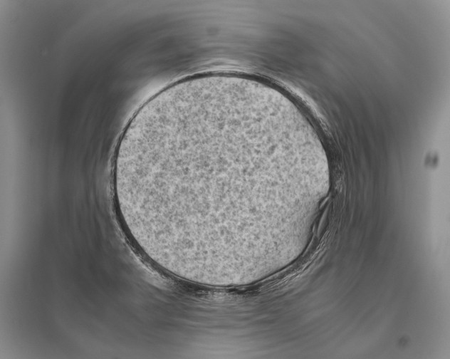 X0000096441375200802211200