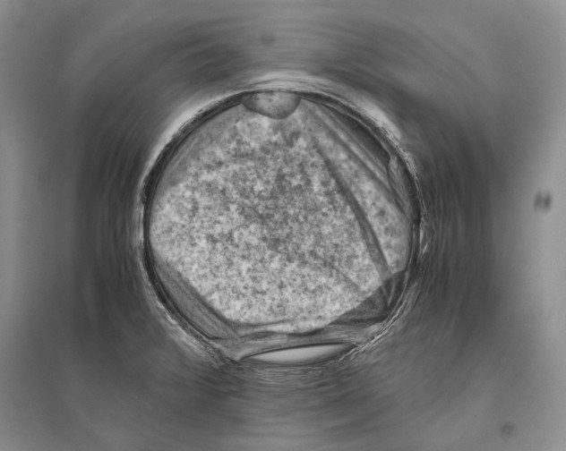 X0000096441376200802211200