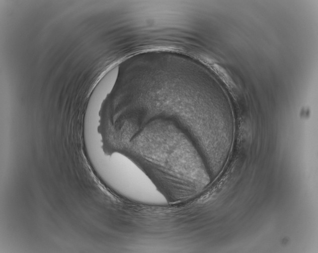 X0000096441377200802211200