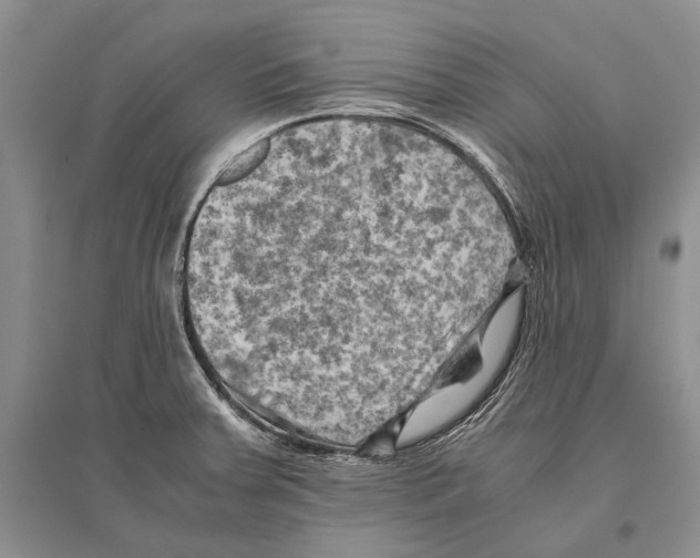 X0000096441379200802211200