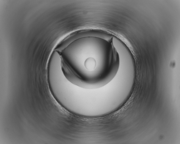 X0000096441380200802211200