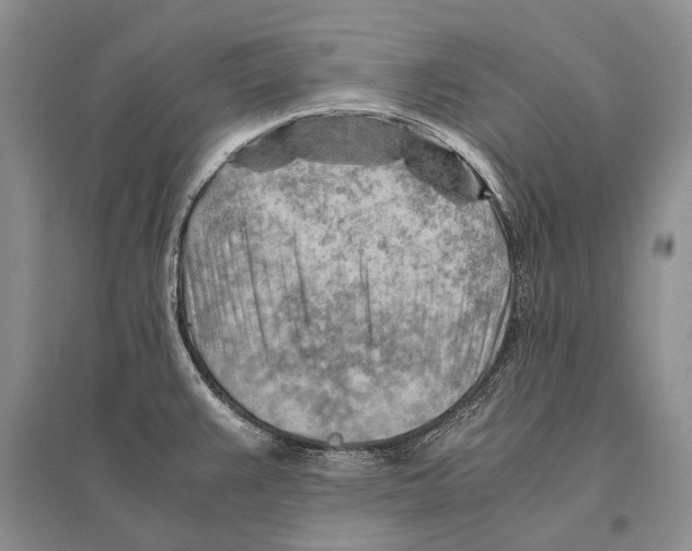 X0000096441383200802211200