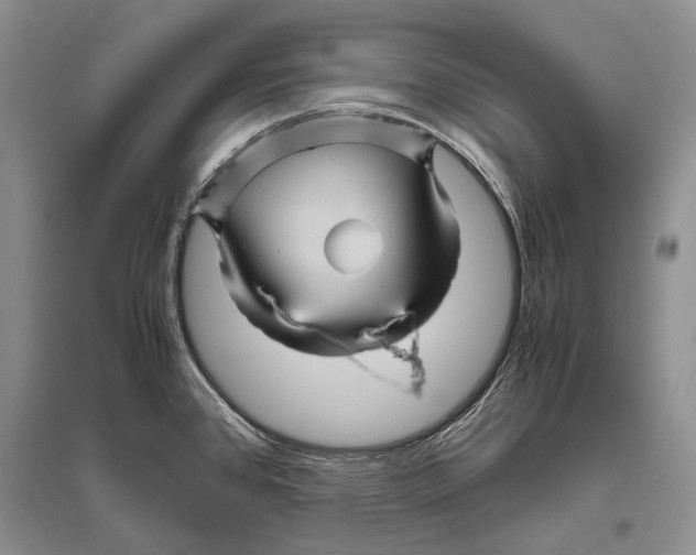 X0000096441384200802211200