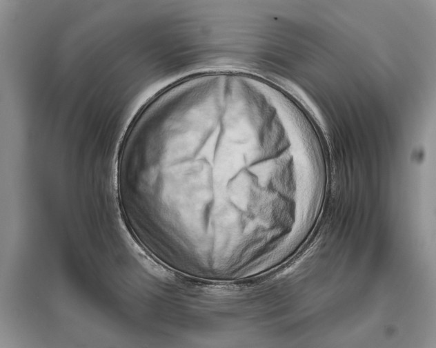 X0000096441388200802211200