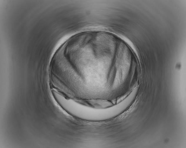 X0000096441389200802211200