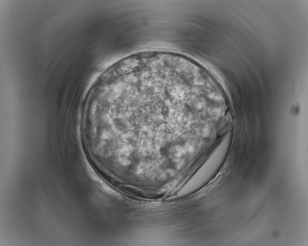 X0000096441390200802211200