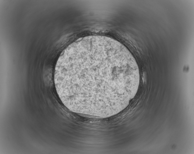 X0000096441396200802211159