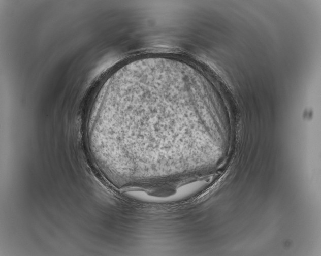 X0000096441402200802211159