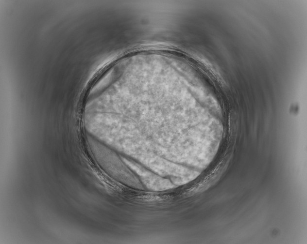 X0000096441405200802211159