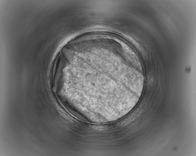 X0000096441413200802211159