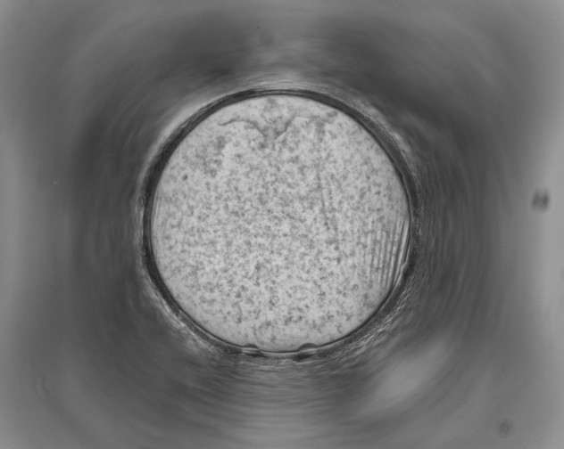 X0000096441416200802211200