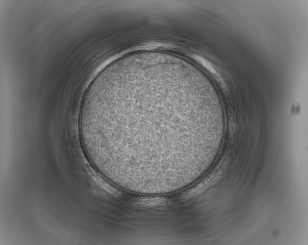 X0000096441417200802211200