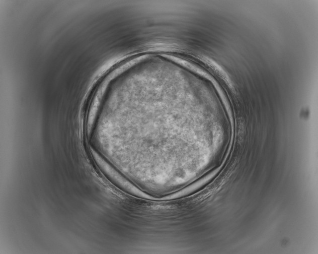 X0000096441419200802211200