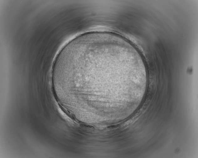 X0000096441421200802211200