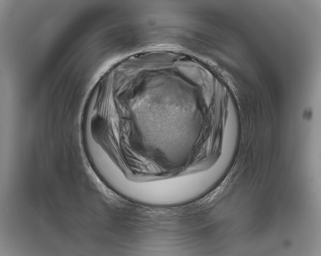 X0000096441422200802211200