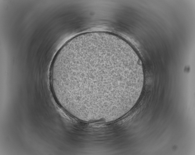 X0000096441423200802211200