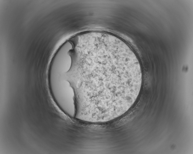 X0000096441424200802211200