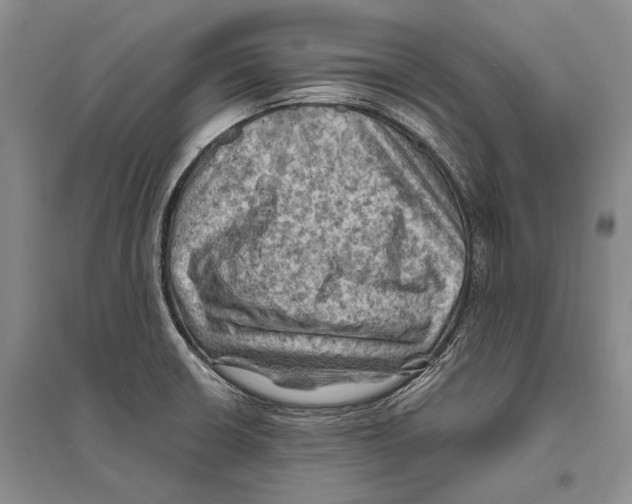 X0000096441426200802211200