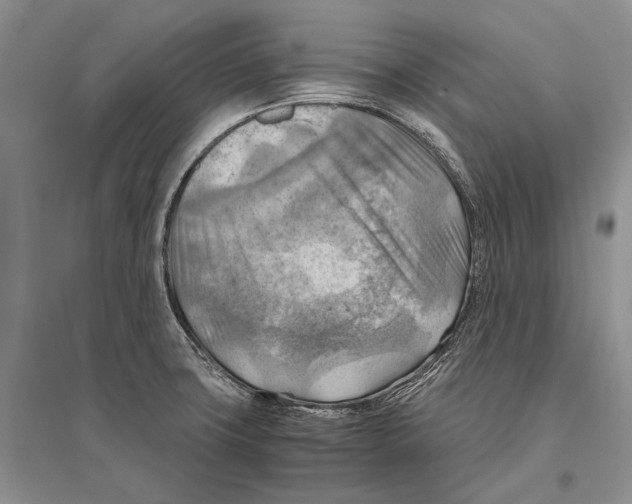 X0000096441427200802211200