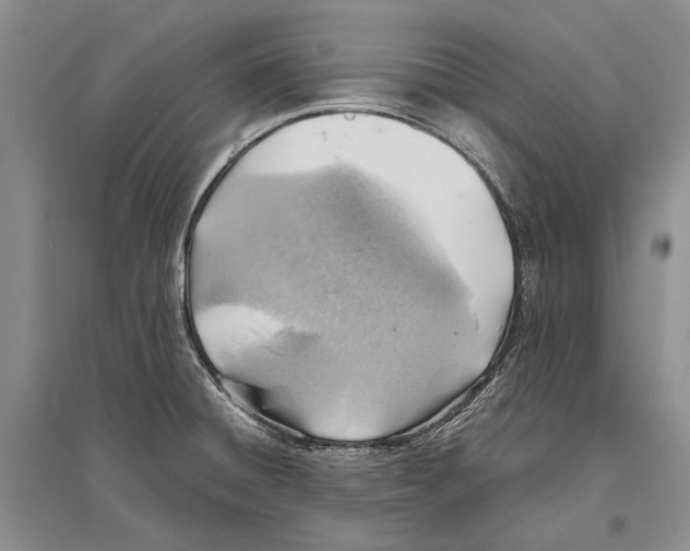 X0000096441428200802211200