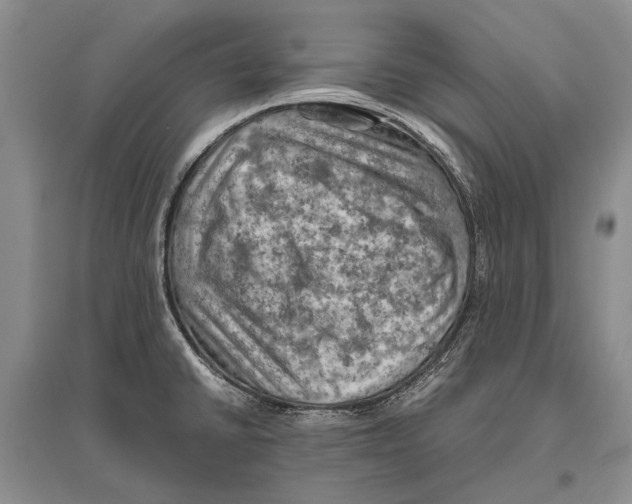 X0000096441430200802211200