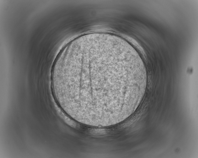 X0000096441431200802211200