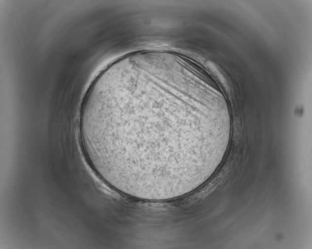 X0000096441432200802211200