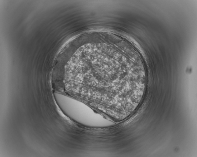 X0000096441433200802211200