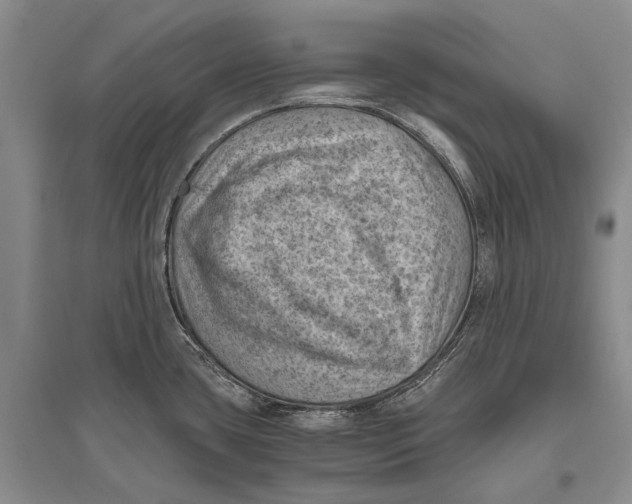 X0000096441435200802211200