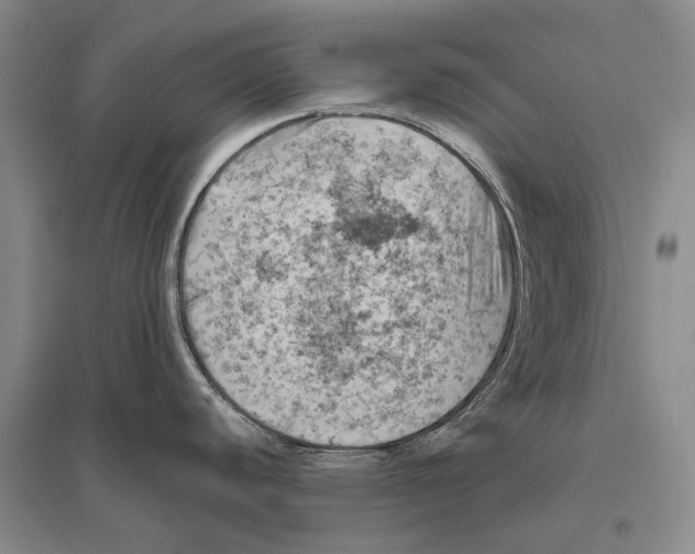 X0000096441440200802211200