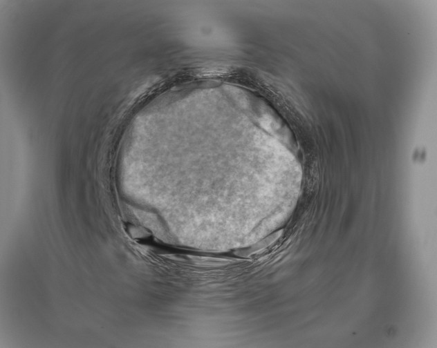 X0000096441441200802211159