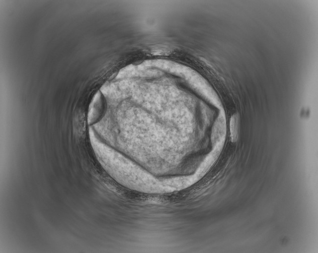 X0000096441443200802211159