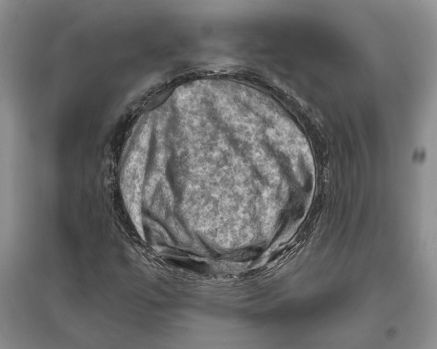 X0000096441447200802211159