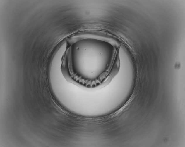 X0000096441449200802211159