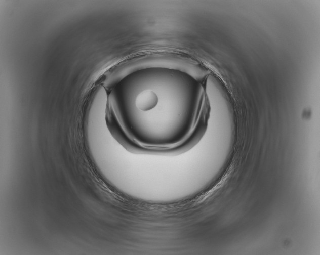 X0000096441453200802211159