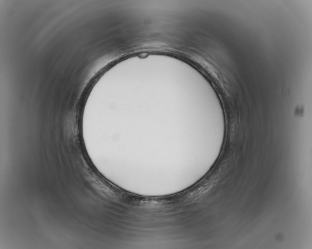 X0000096441458200802211159