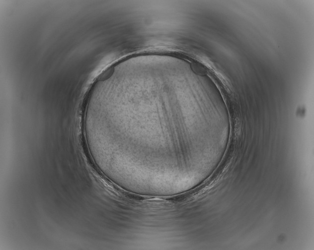 X0000096441459200802211159