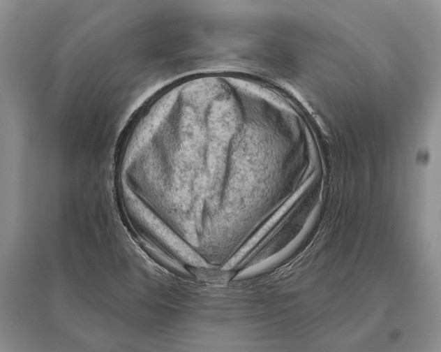 X0000096441460200802211159