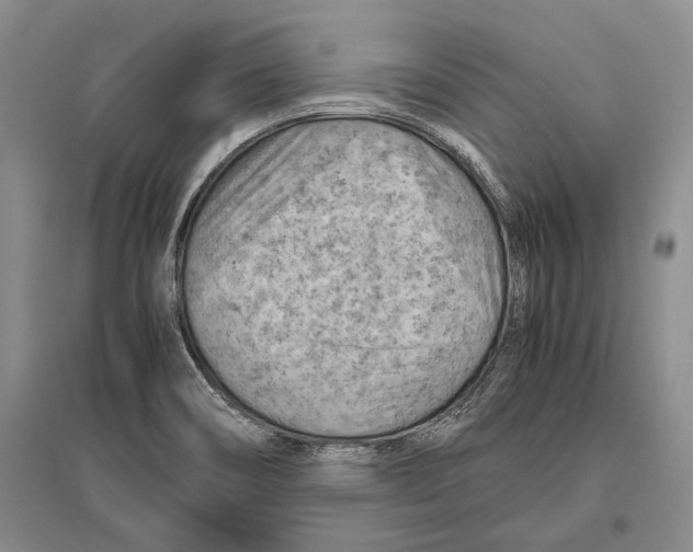 X0000096441466200802211159