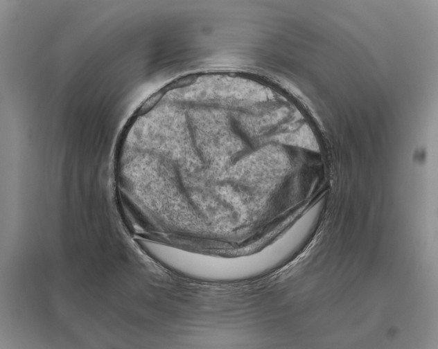 X0000096441469200802211159