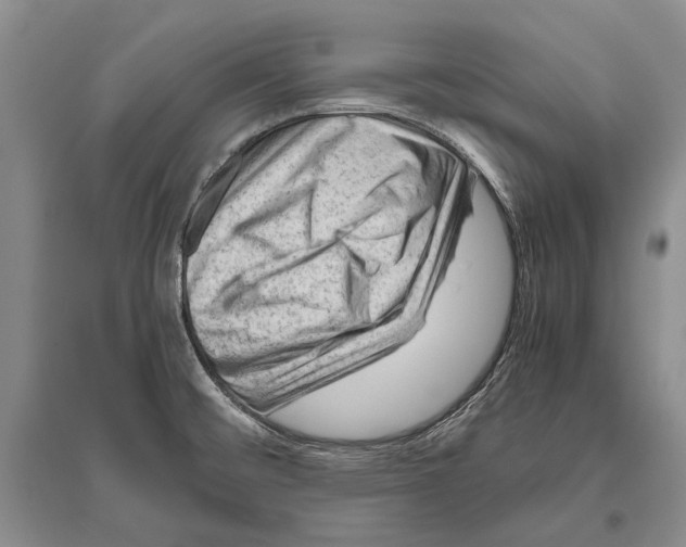 X0000096441476200802211159