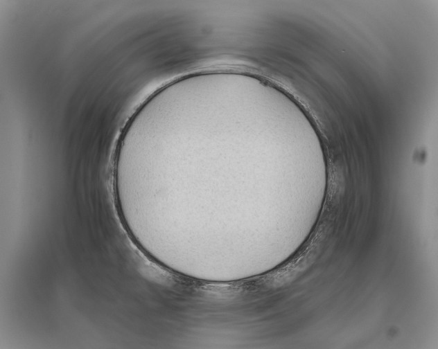 X0000096441478200802211159