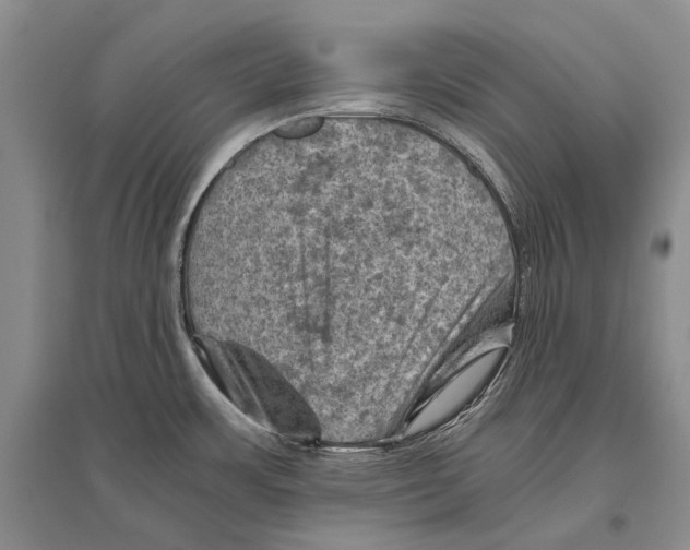 X0000096441483200802211159