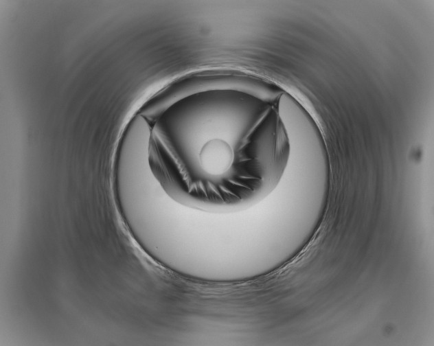 X0000096441485200802211158