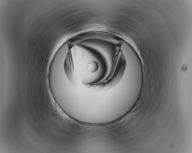 X0000096441488200802211158