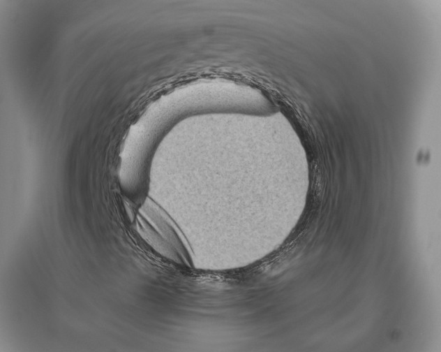 X0000096441489200802211158