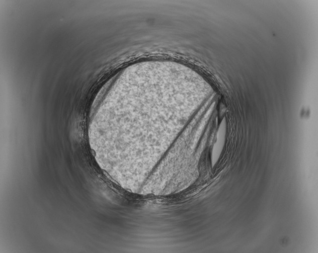 X0000096441490200802211158